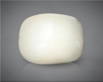 Natural White Coral ( Safed Moonga) Certified  15.71 CTS. ( 91487 )